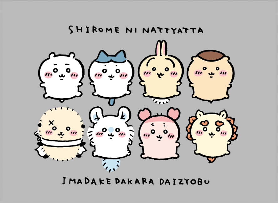 Chiikawa Characters | Chiikawa Merch