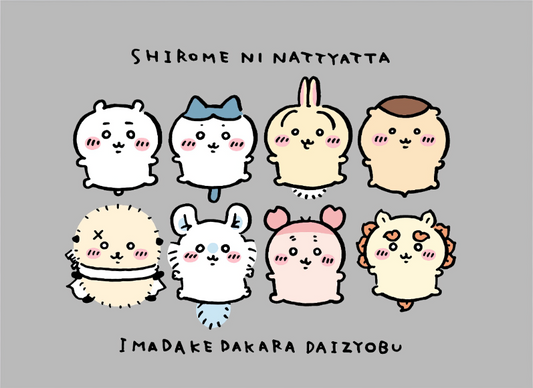 Chiikawa Characters | Chiikawa Merch