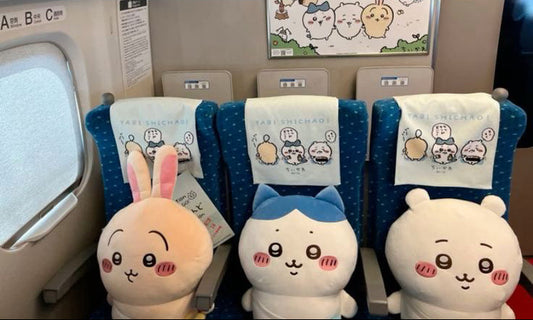 Keeping Giant Chiiawa Plush Clean